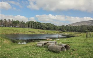 21.8 ha Farm in Uitenhage Central