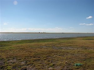 4 ha Farm in Oranjeville