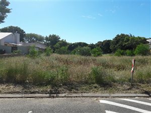 4 Bed House in Flamingo Vlei