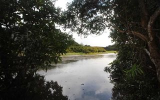 1040 m² Land available in Blythedale Beach