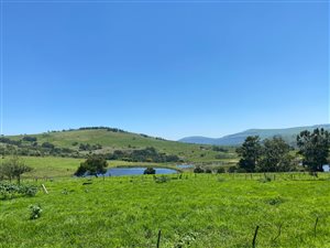 303 m² Commercial Farm in Greytown