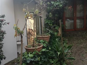 1 Bed Garden Cottage in Lynnwood