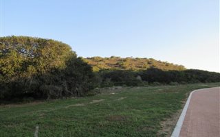 320 m² Land available in Still Bay West