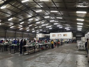 1800 m² Industrial space in Stormill