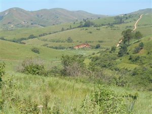 29 ha Farm in Umzumbe