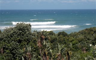 2 Bedroom Apartment in Palm Beach