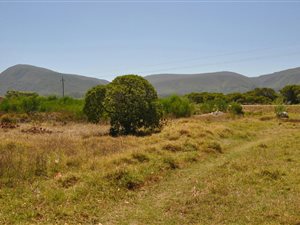 1010 m² Land available in Franskraal