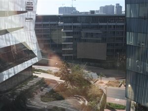 243 m² Office Space in Sandton CBD