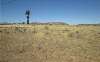 3643 m² Land available in Rosendal