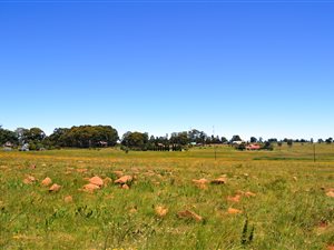 5949 m² Land available in Dullstroom