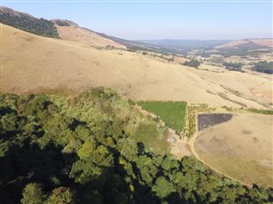 22 ha Land available in Byrne Valley