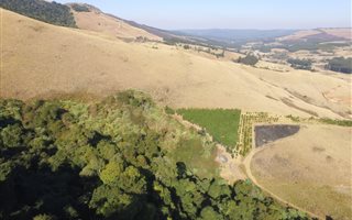 22 ha Land available in Byrne Valley