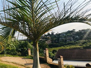 1532 m² Land available in La Mercy