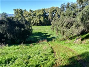 12 ha Farm in Northern Paarl