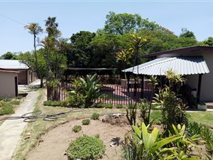 2.7 ha Farm in Karino