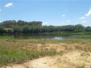 247 ha Farm in Ficksburg