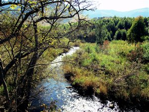 15.4 ha Farm in Waterval Boven
