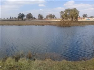 32.5 ha Farm in Daveyton