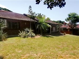 3 Bed House in Elysium