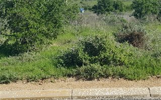 482 m² Land available in Hoogland