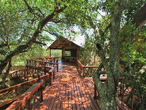 21 ha Farm in Hoedspruit