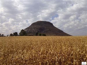 325.8 ha Farm in Fouriesburg