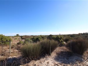 52 ha Farm in Hopefield