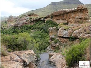 1415 ha Farm in Ficksburg