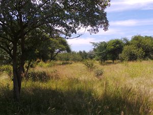 1.7 ha Farm in Bela-Bela (Warmbaths)