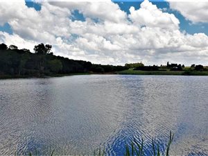 4.5 ha Farm in Bashewa
