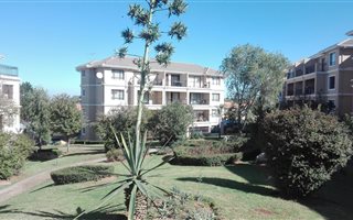 1 Bedroom Apartment in Halfway Gardens