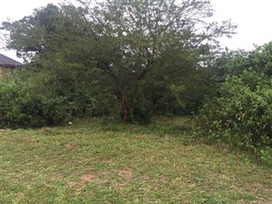 1150 m² Land available in Birdswood