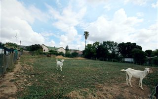 1339 m² Land available in Heidelberg
