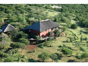 22 Bed House in Ashburton