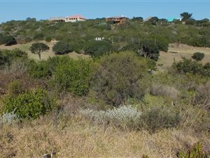 685 m² Land available in Hersham