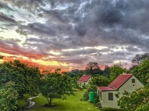1.3 ha Farm in Knysna Central