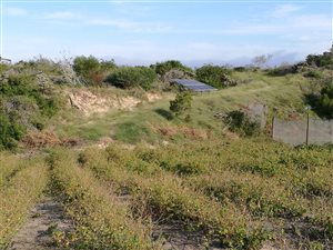 5 ha Farm in St Francis Bay