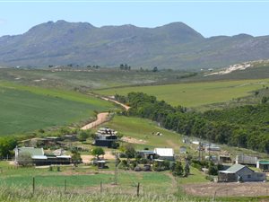16 ha Farm in Tesselaarsdal