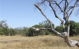 7500 m² Land available in Moditlo Nature Reserve