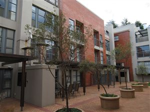 3 Bed Apartment in Hyde Park