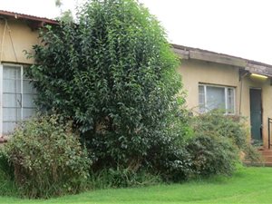 7.5 ha Smallholding in Carolina