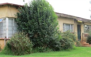 24.6 ha Smallholding in Carolina