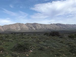 200 ha Farm in Steytlerville