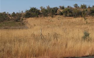 19 ha Farm in Naboomspruit