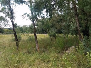 1.6 ha Farm in Walkerville