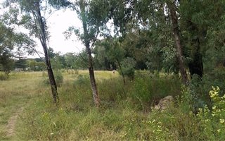 1.6 ha Farm in Walkerville