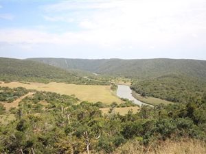 336 ha Farm in Port Alfred
