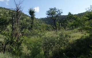 21.4 ha Land available in Kalkheuwel