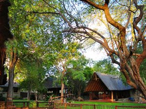Game Farm in Hoedspruit