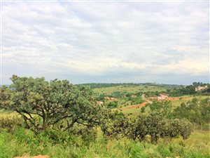 1583 m² Land available in Waterkloof Heights